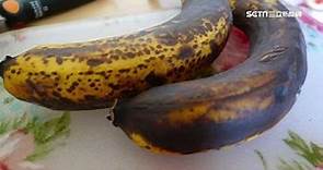 低溫保存NG！香蕉沒熟放冰箱易腐爛 水果保存法報你知