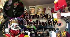 Joker's Wild | Halloween & Party Decor - March 2022 (Costumes, Props, and more!) - N. Reading, MA