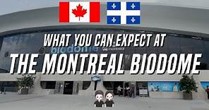 What To Expect When Visiting The Montreal Biodome | Montreal