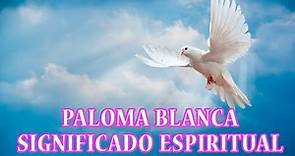🧙 Paloma Blanca Significado Espiritual 🧙 Soñar con Palomas | Tótem Paloma