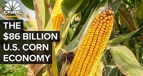 Why The U.S. Government Is (Still) Obsessed With Corn