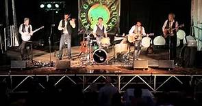 Dirty old town (live 2015) Laurent Réval et Jean Marc Delon (Comrades Irish Band) & Thegreenduck