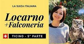 ☀️ TICINO 🌴 LOCARNO + FALCONERIA 🇨🇭 que ver en la SUIZA ITALIANA con niños en verano (Parte 5) 🇮🇹