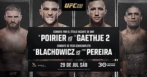 UFC 291 - Poirier vs Gaethje 2