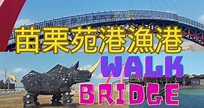 [TAIWAN]苗栗苑港漁港walk看海|彩虹橋|海浪|釣魚|Miaoli Yuan Port Fishing Port walk to see the sea | Rainbow Bridge
