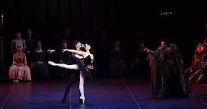 Tamara Rojo / Isaac Hernandez - Black Swan pas de deux - World Ballet Stars Gala New York