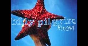 Billy Pilgrim - Sweet Louisiana Sound