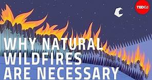 Why certain naturally occurring wildfires are necessary - Jim Schulz