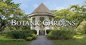 Singapore Botanic Gardens | UNESCO World Heritage Site