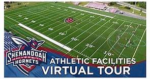 See What Shenandoah Athletics Has to Offer!