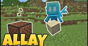 How To Get The ALLAY In MINECRAFT