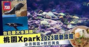 台灣自由行｜台北最大水族館！桃園Xpark 2023最新攻略 必去展區+附近美食