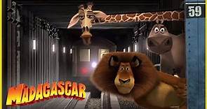 DreamWorks Madagascar en Español Latino | Escape de Nueva York | Dibujos animados para niños