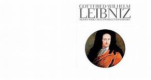 Analisi dei "Nuovi saggi sull'intelletto umano" di G.W. Leibniz - 1. L'Introduzione
