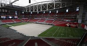 Grass field rolls in at University of Phoenix Stadium