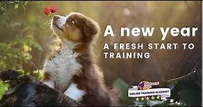Online Dog Training Academy - Free Trial