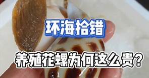 【花螺】养殖东风螺为何这么贵？看完这个视频你就知道了！