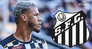 Nathan Santos 2022 - Bem Vindo ao Santos - Skills & goals | HD