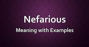 Nefarious Meaning with Examples