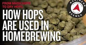 How Hops Are Used in Homebrewing