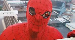 The Original Live-Action Spider-Man Trilogy You Never Saw