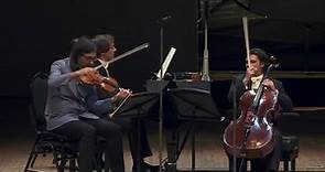 Lugansky . Capuçon . Kavakos - Brahms Piano Trio No. 3