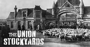 The Union Stockyards — A Chicago Stories Documentary