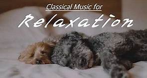 [NO ADS, 2 HOURS] Classical Music for Relaxation | Beethoven, Mozart, Bach, Tchaikovsky, Vivaldi…