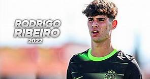 Rodrigo Ribeiro - Technical Young Striker - 2022ᴴᴰ