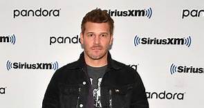 David Boreanaz’s biography: age, height, net worth, wife, shows