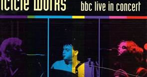 The Icicle Works - BBC Live In Concert