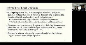 Criminal Law I - Briefing a Case