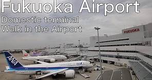 Walking in Fukuoka Airport | Japan | Walk in the Airport