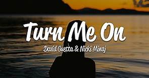 David Guetta Turn Me On Lyrics ft Nicki Minaj