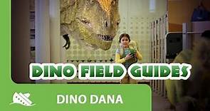 La guía de dinosaurios/La Dino guía de campo en español latino l Dino Dana l Temporada 1 cap 1