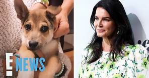 Law & Order's Angie Harmon Says Delivery Driver “Shot & Killed” Her Dog | E! News