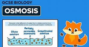 Osmosis - GCSE Biology
