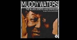 Muddy Waters - Hoochie Coochie Man [1954]