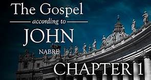 Gospel of John Chapter 1 - Catholic NABRE New American Bible Audio