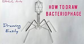 Diagram Of Bacteriophage | How To Draw Bacteriophage Diagram | Class 11 | Biology