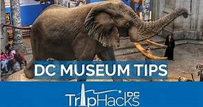 8 Tips for the Smithsonian and FREE museums in DC