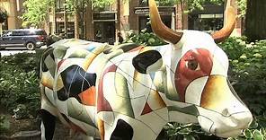 'Cows on Parade' back on display in Chicago