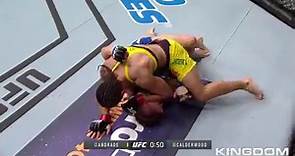 UFC 211: Miocic vs Dos Santos 2