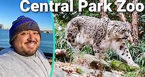 A First Timer's Guide To Central Park Zoo New York City! RARE ANIMALS! Full Zoo Tour!