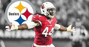 Markus Golden Highlights 🔥 - Welcome to the Pittsburgh Steelers