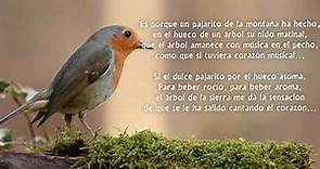 Poema el Nido de Alfredo Espino