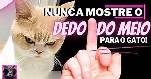 NUNCA Mostre o Dedo Do Meio Para o Seu Gato! - NEVER Show Your Cat the Middle Finger!