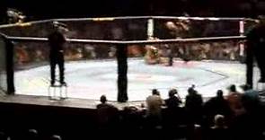 Houston Alexander vs Alessio Sakara knockout UFC 75