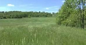 88 Acre Farm For Sale, Blair County, PA, Views of the Land