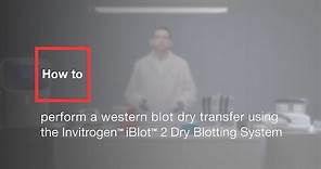 How to perform a western blot dry transfer using the Invitrogen iBlot 2 Dry Blotting System